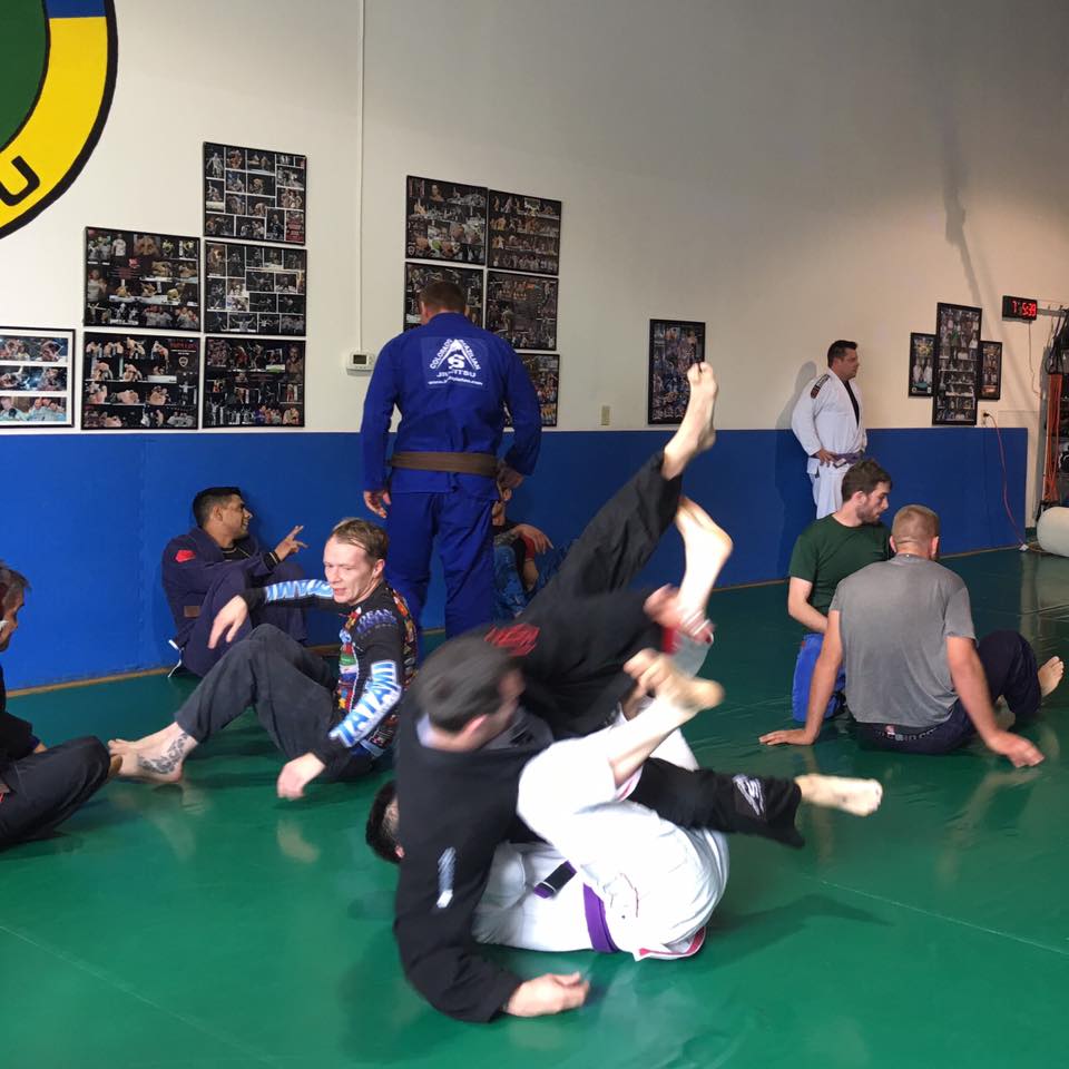 BJJ Stapleton Summer Kickoff BBQ - Group Rolling - 05-15-2016